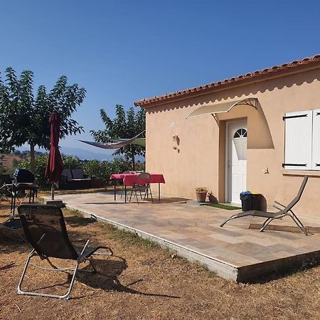 Studio Mitoyen A La Campagne Vue Sur La Mer Cargèse المظهر الخارجي الصورة