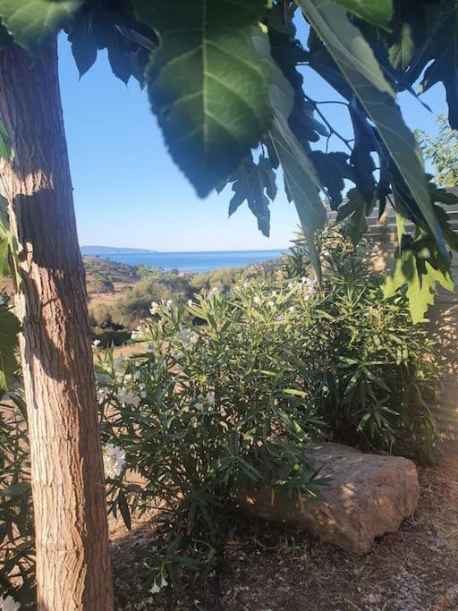 Studio Mitoyen A La Campagne Vue Sur La Mer Cargèse المظهر الخارجي الصورة